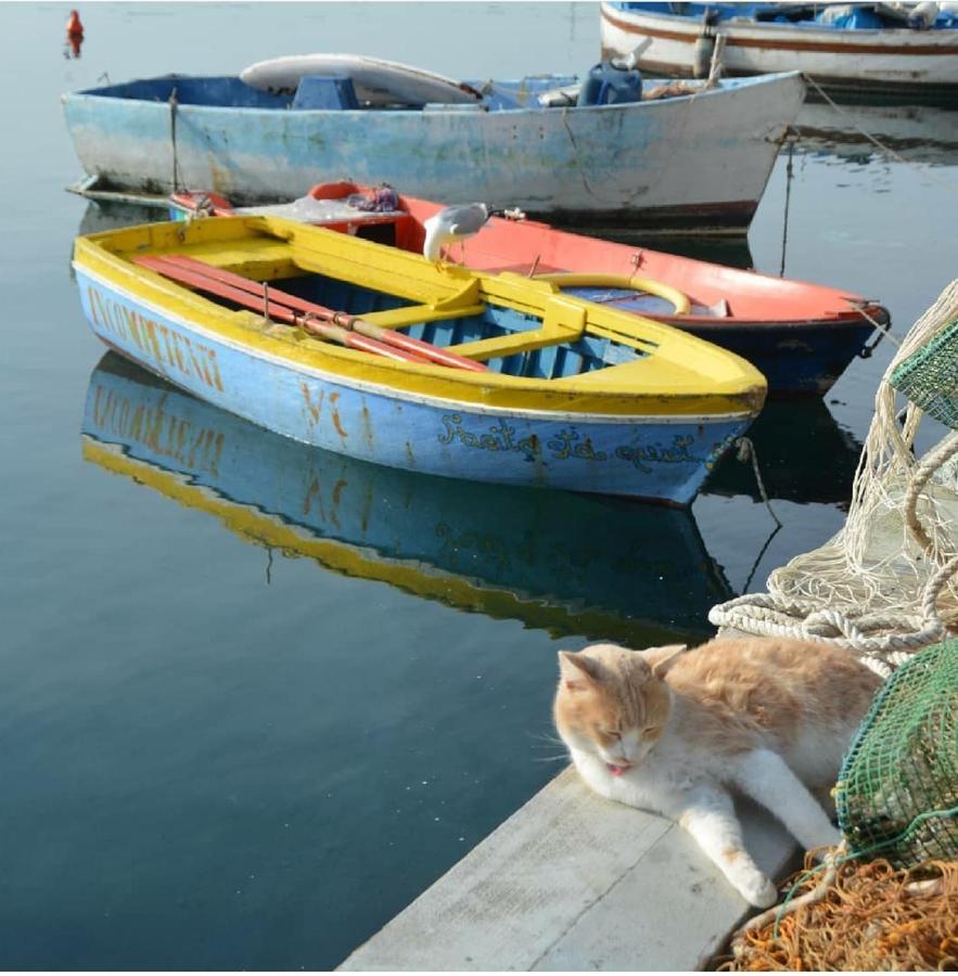 Maridea Διαμέρισμα Προτσίντα Εξωτερικό φωτογραφία